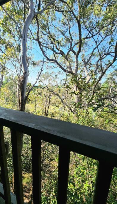 The Black Cockatoo - Secret Garden Treetops Home كاتومبا المظهر الخارجي الصورة